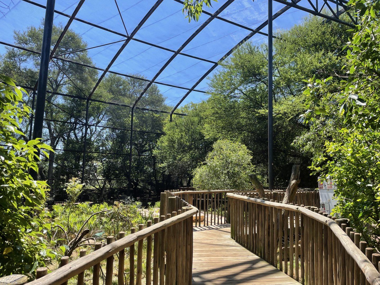 Former Cat grottos, now Aviary.