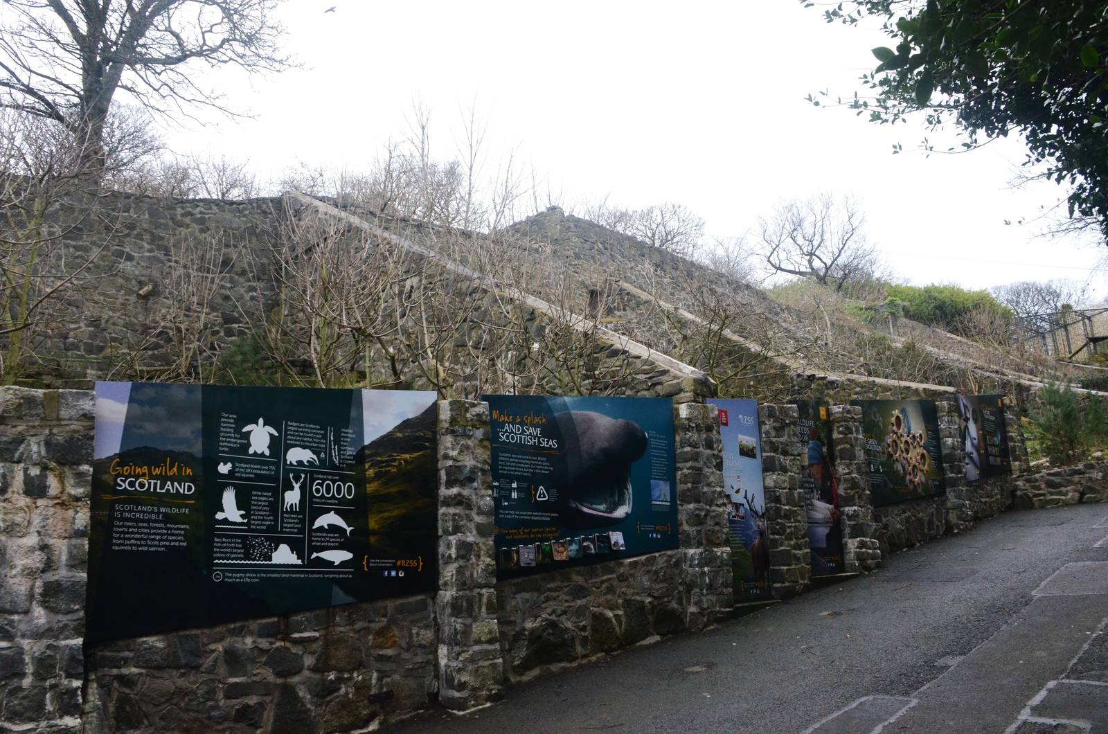 Former Cat Row at Edinburgh, 06/02/16
