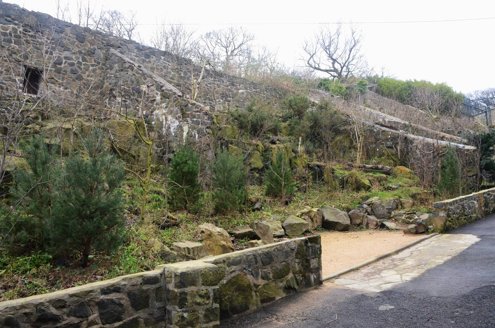 Former Cat Row at Edinburgh, 06/02/16