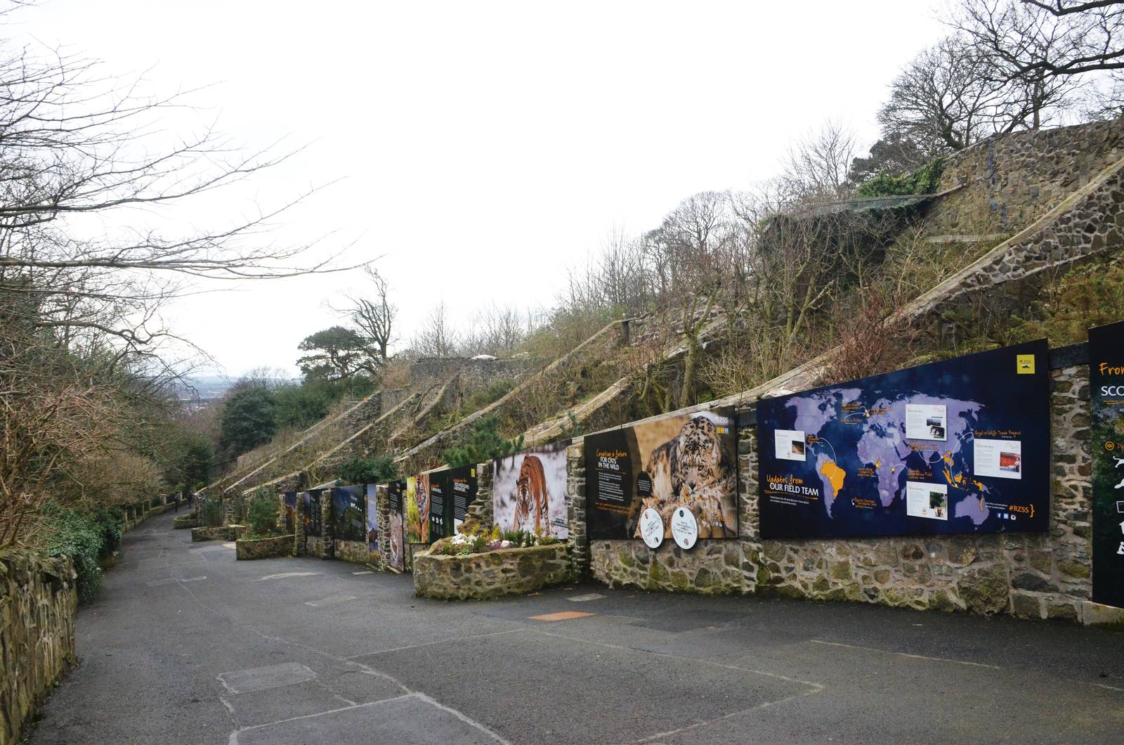 Former Cat Row at Edinburgh, 06/02/16