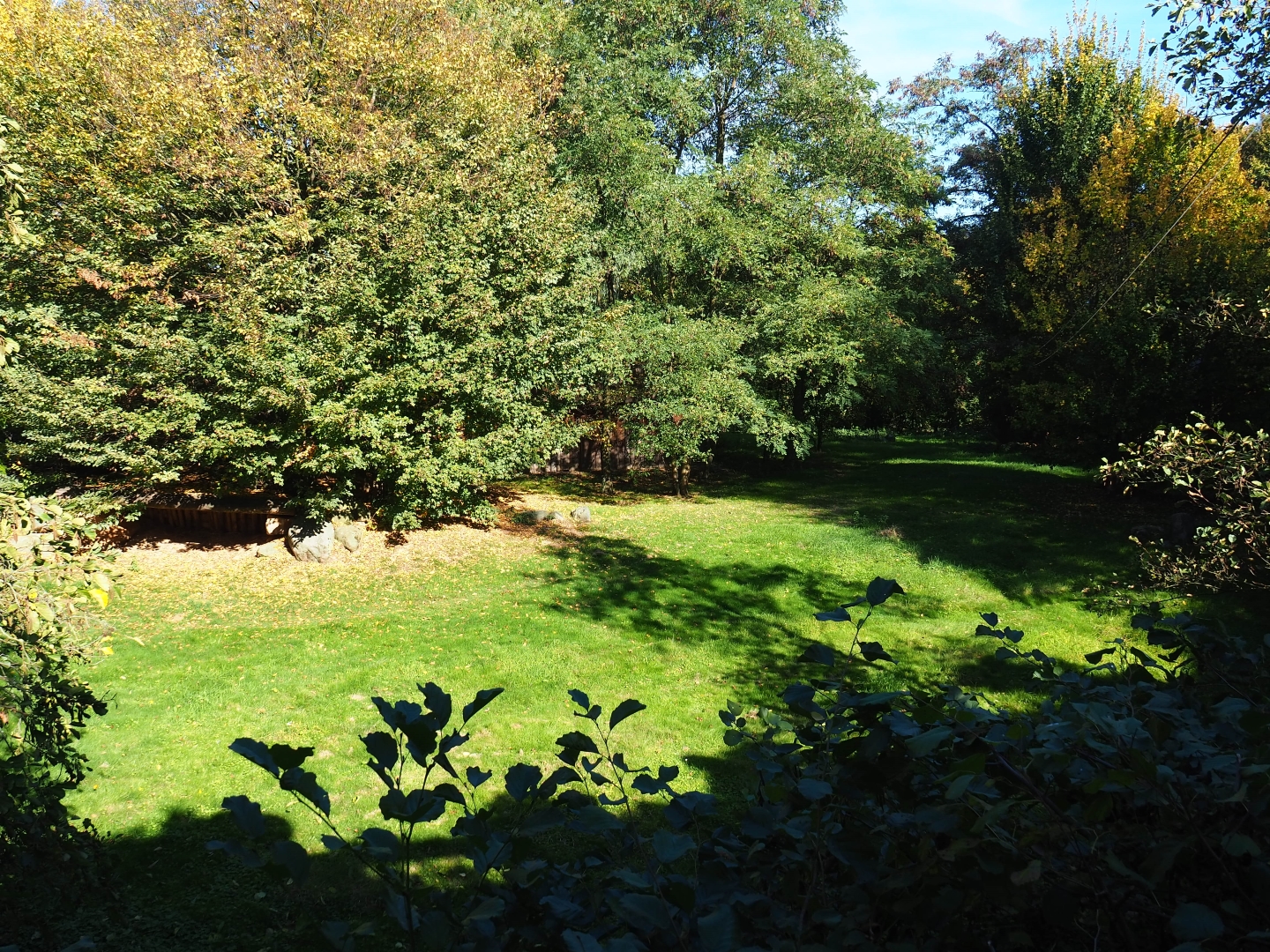 Former cheetah exhibit - Future African wild dog exhibit (Oct 13th, 2018)