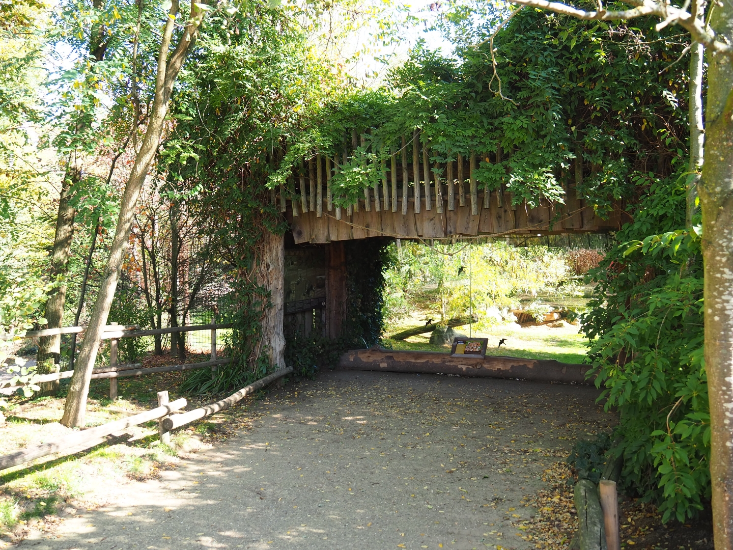 Former cheetah exhibit - Future African wild dog exhibit viewing area (Oct 13th, 2018)