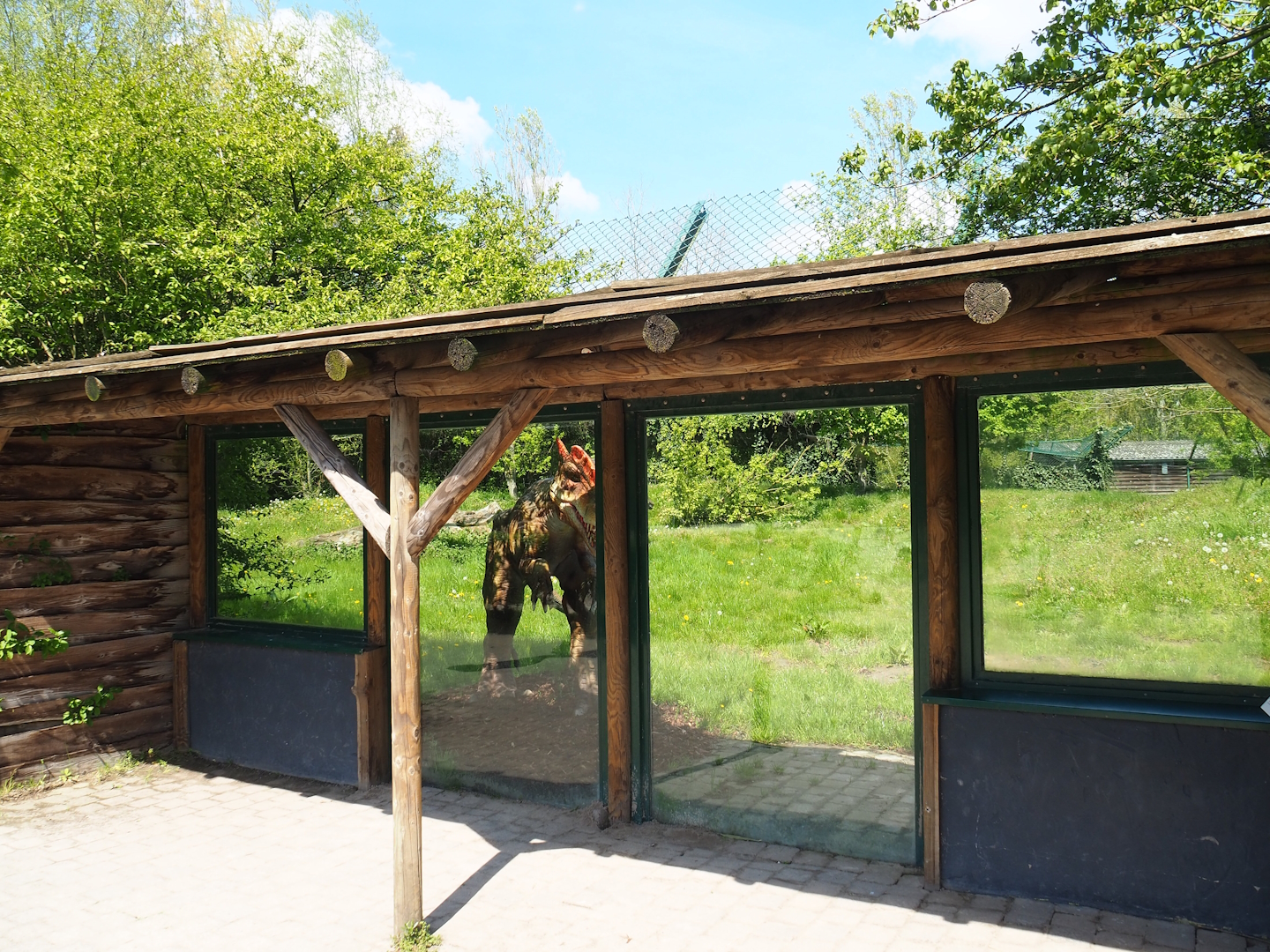 Former cheetah exhibit (To be added to renovated Amur tiger exhibit), 2023-04-30