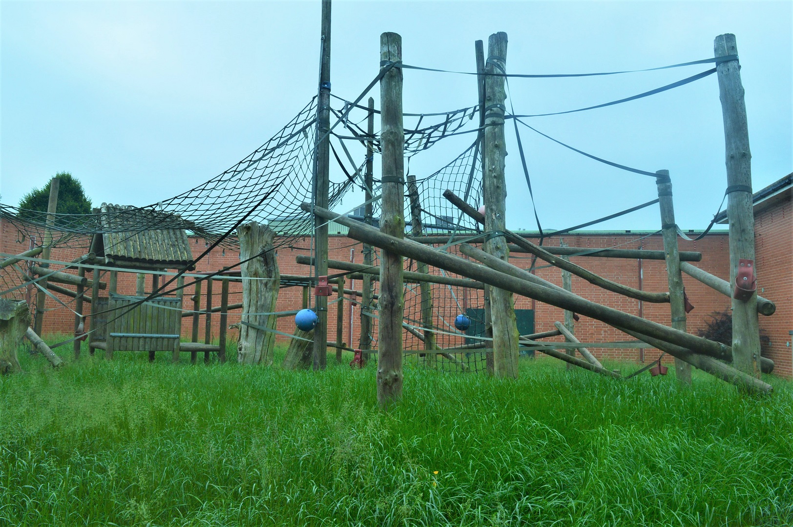 Former chimp enclosure