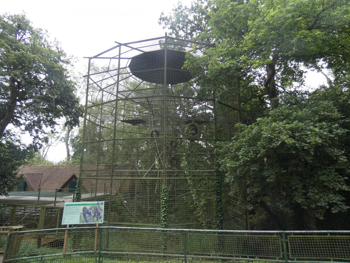 Former Chimp/Gorilla enclosure