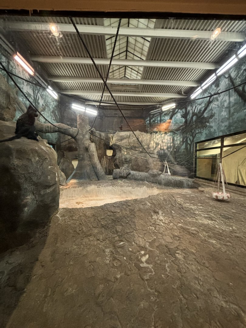 Former Chimpanzee Habitat?