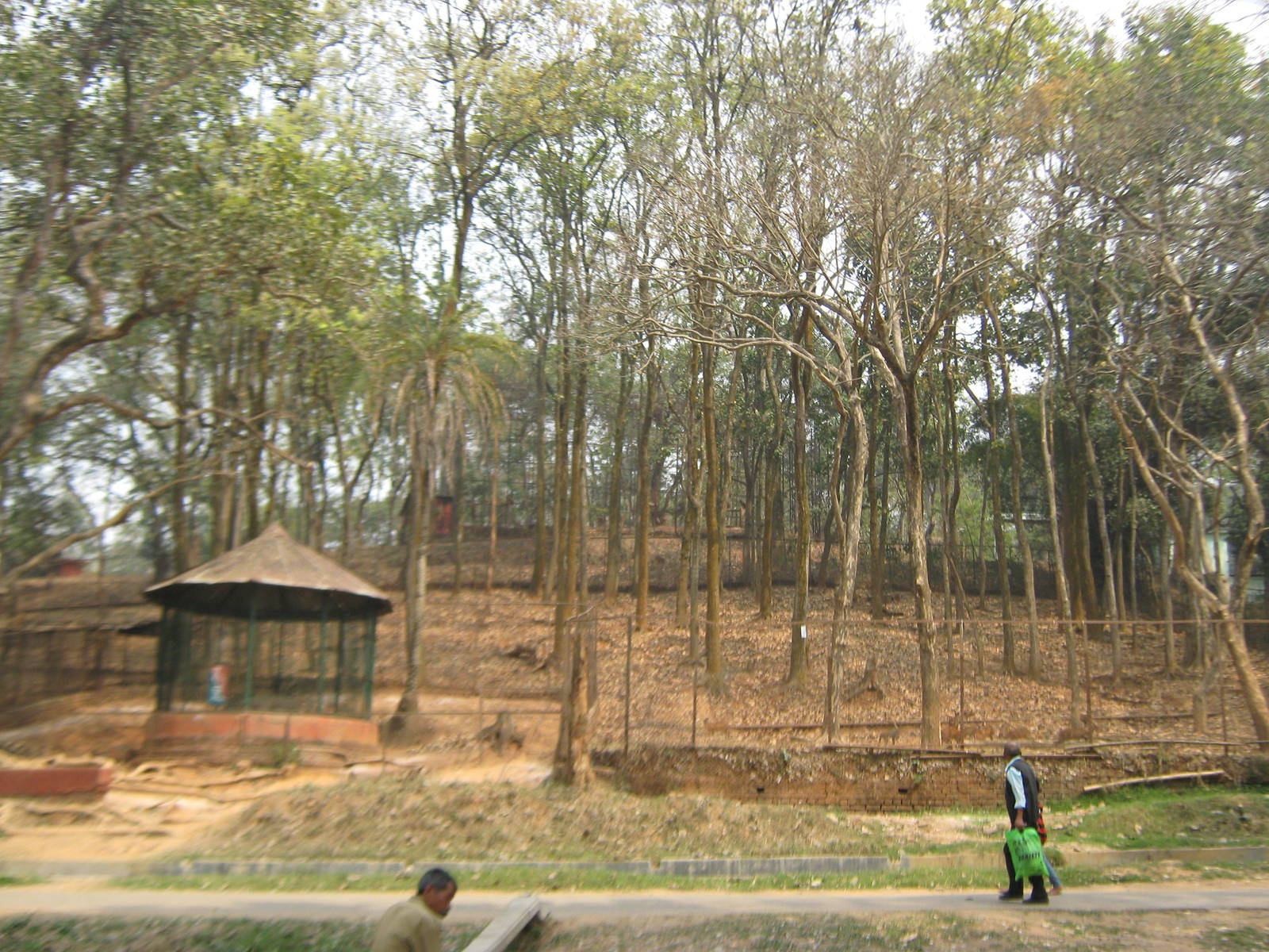 former chousingha enclosure