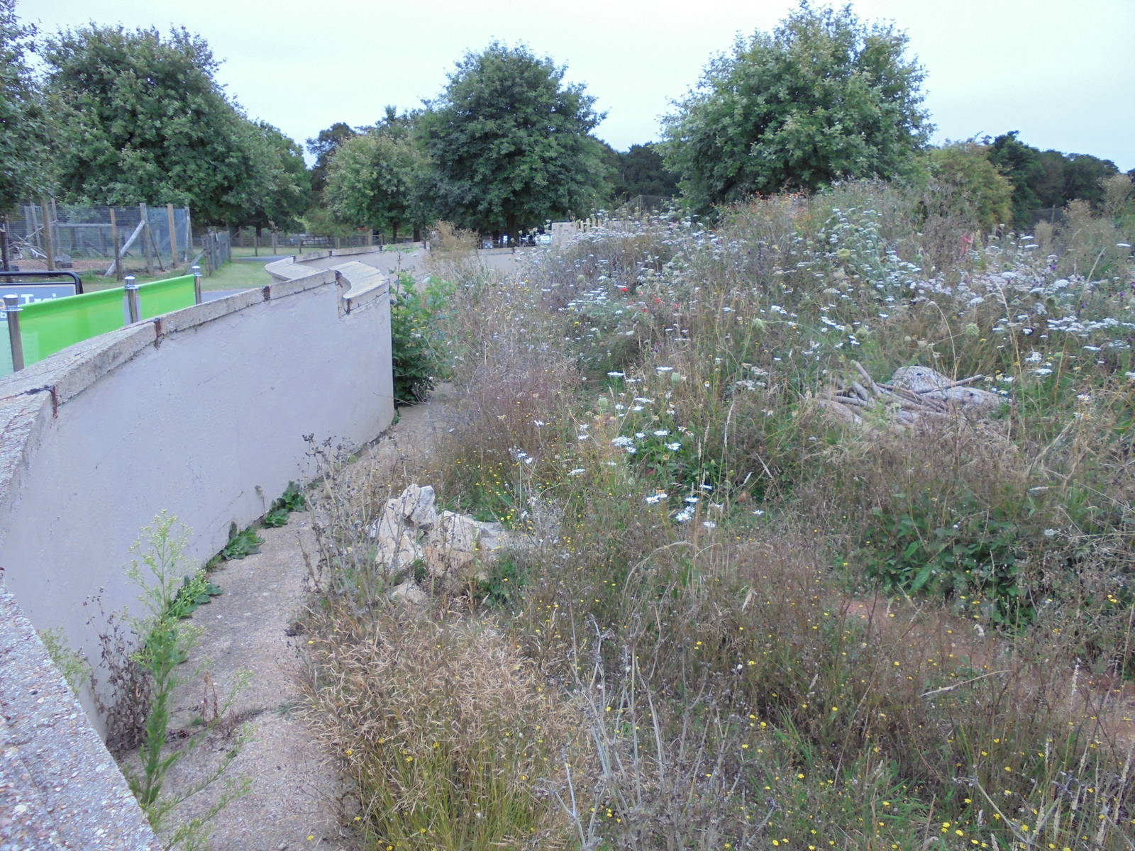 Former Coati Enclosure 2015
