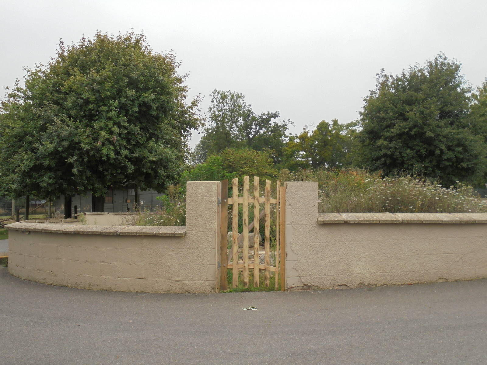 Former Coati enclosure 2015.