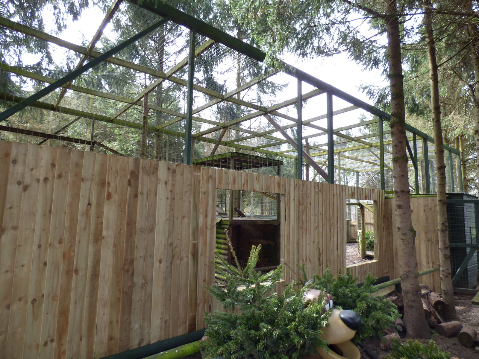 Former Coati Enclosure being refurbished