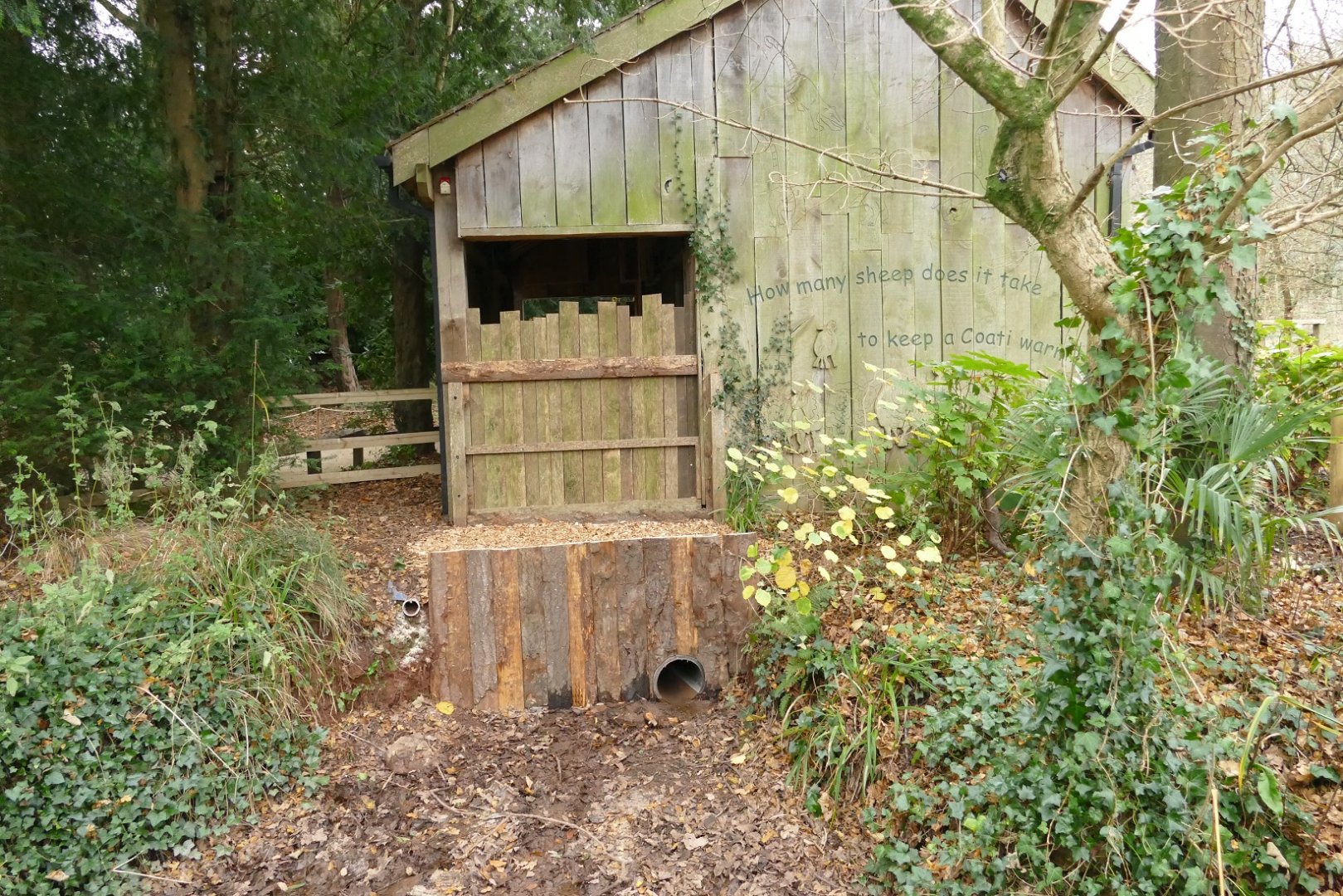 Former Coati house, December 2021