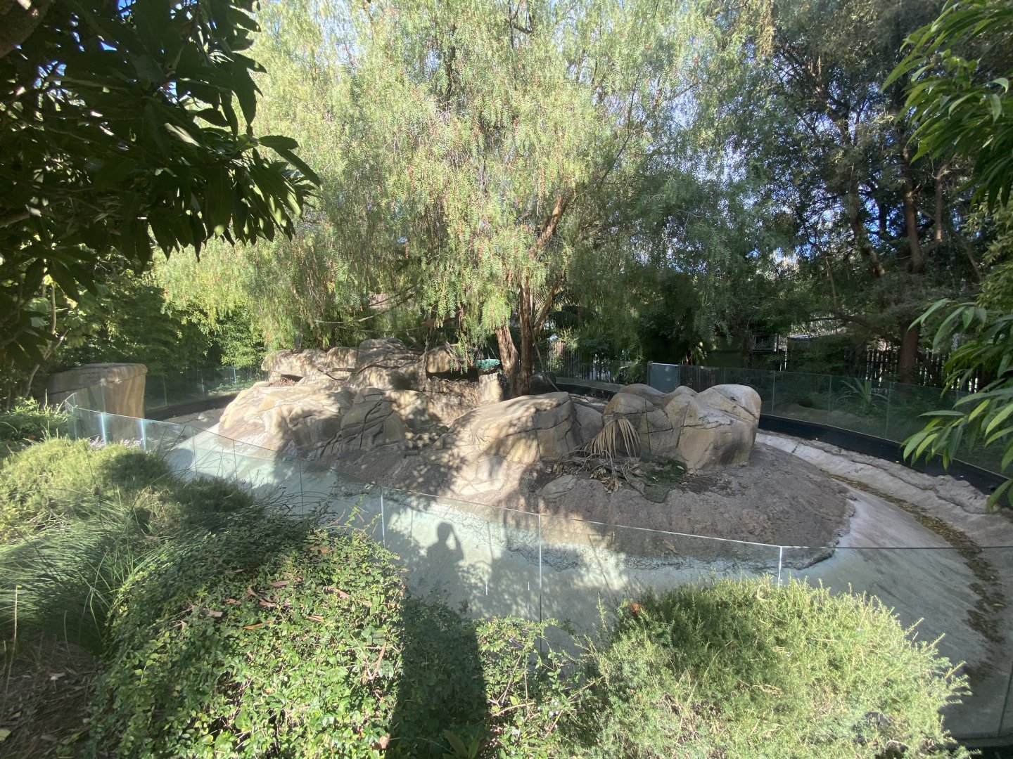 Former Coatimundi Habitat