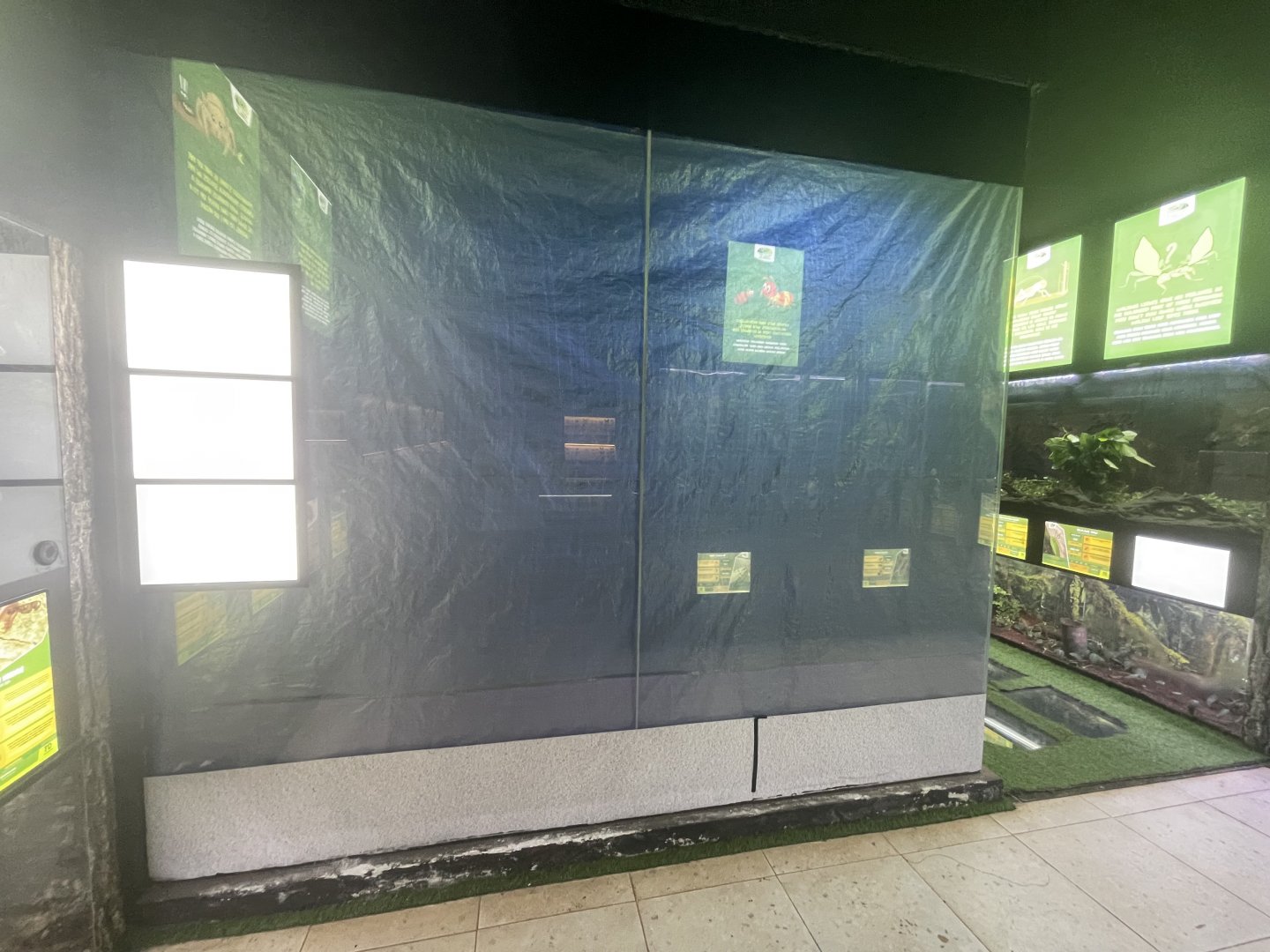 former coconut crab exhibit - aviary park