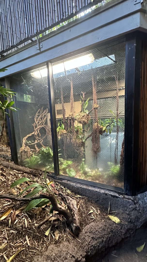 Former Coconut Crab Exhibit - Tiger River