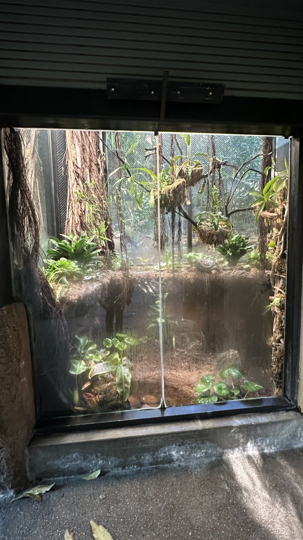 Former Coconut Crab Exhibit - Tiger River