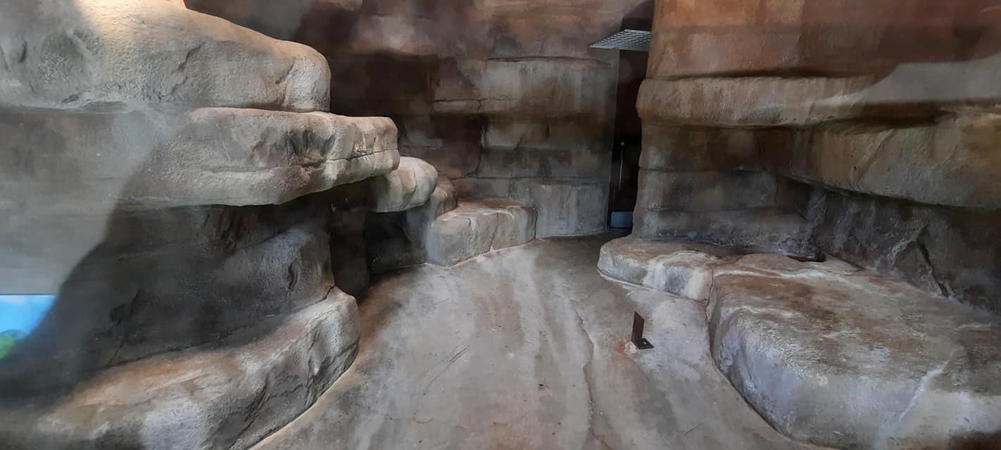 Former Colobus Monkey Indoor Enclosure