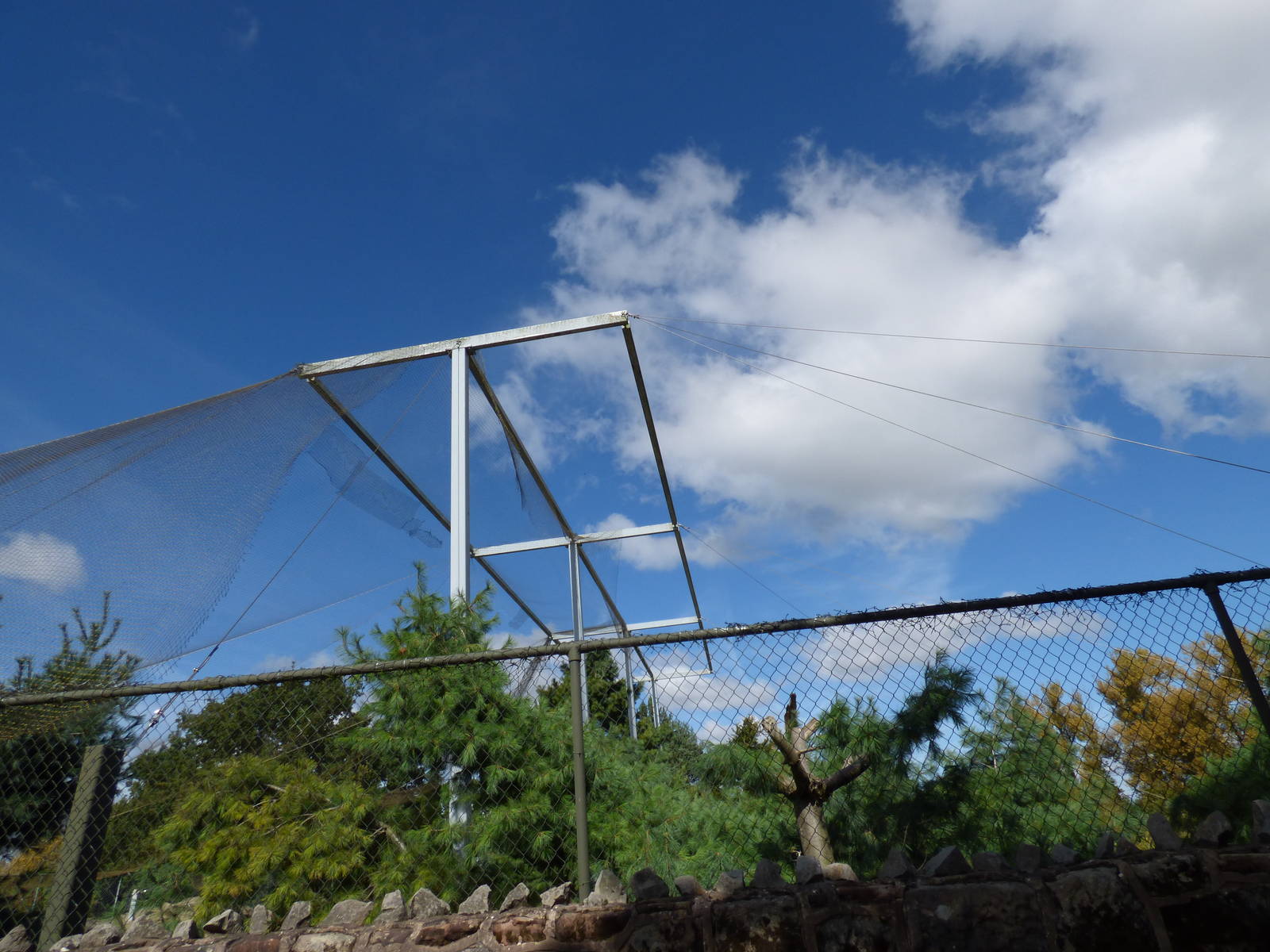 Former Condor and Black Stork Aviary