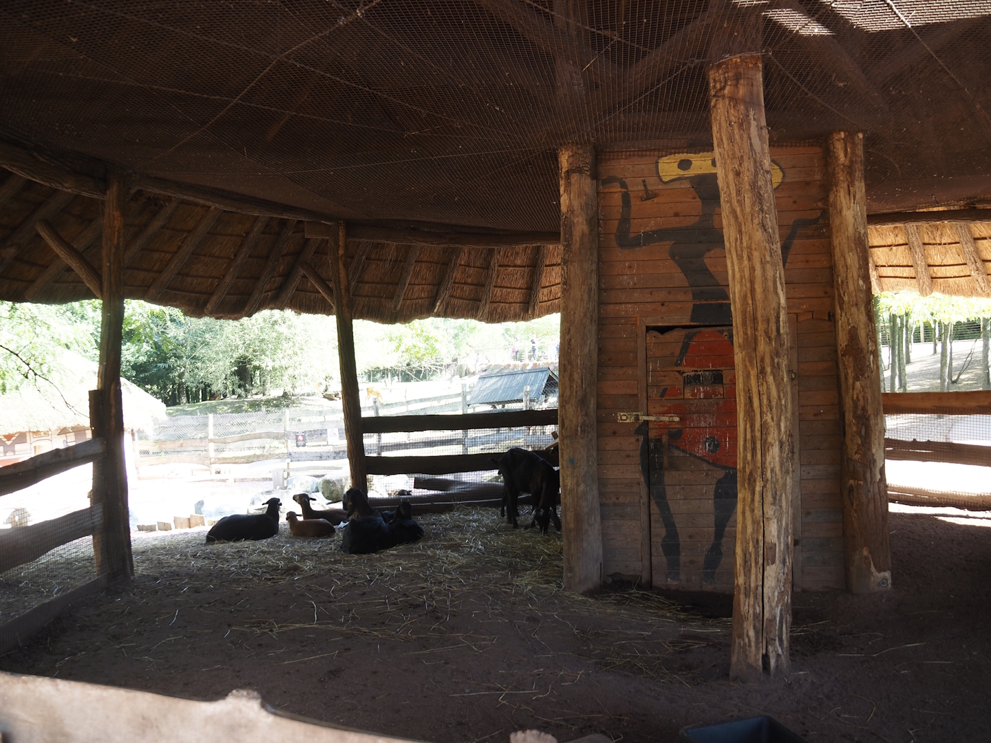 Former Congo African grey parrot aviary, now a shelter for the Ango-Nubian goat and African spurred tortoise walk-through, 2024-09-17