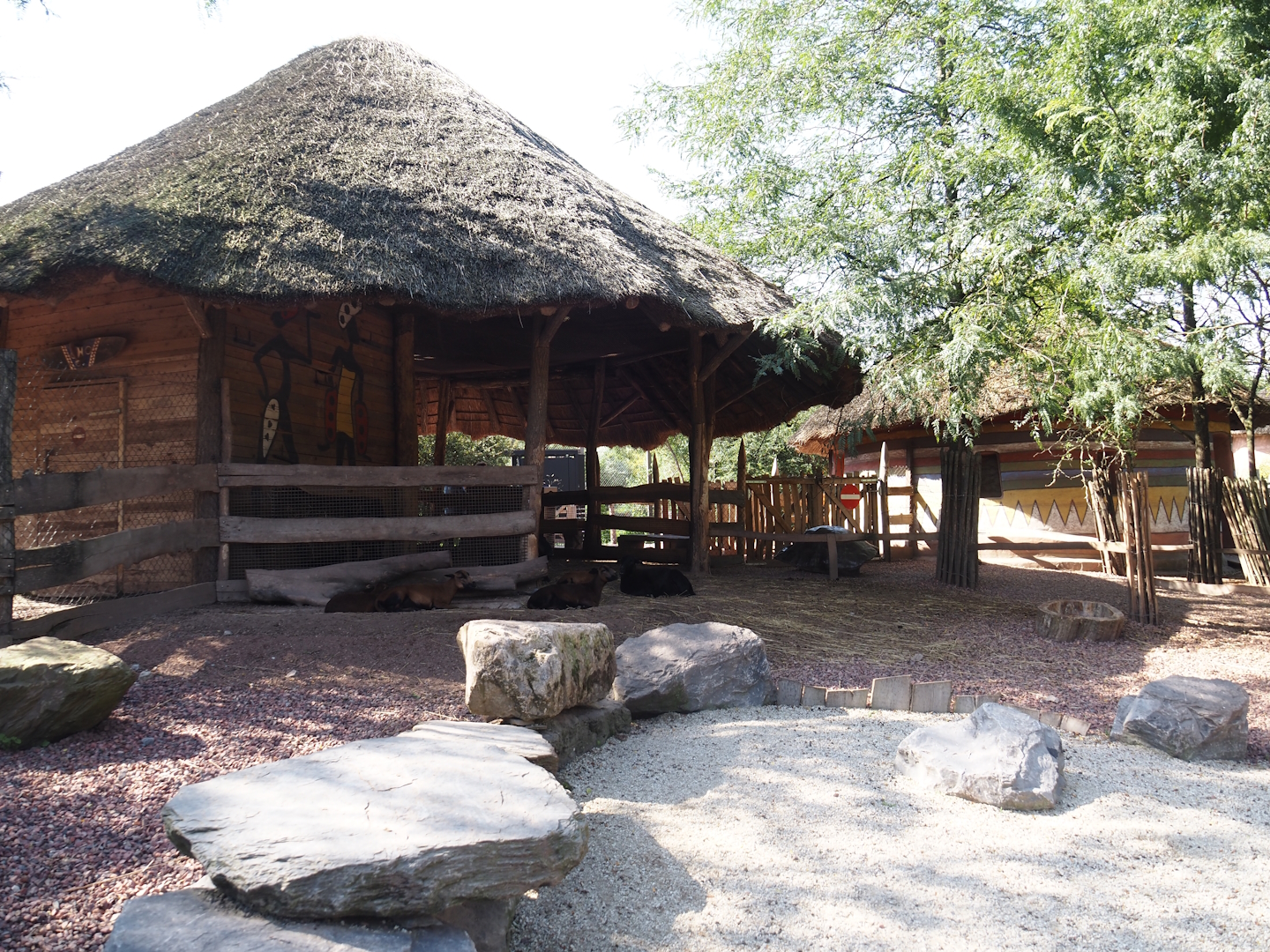 Former Congo African grey parrot aviary, now a shelter for the Ango-Nubian goat and African spurred tortoise walk-through, 2024-09-17