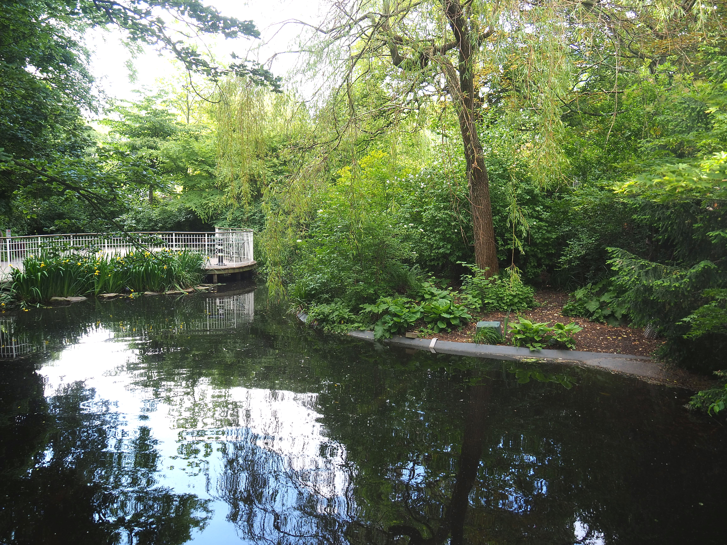 Former cormorant pond, 2022-05-26