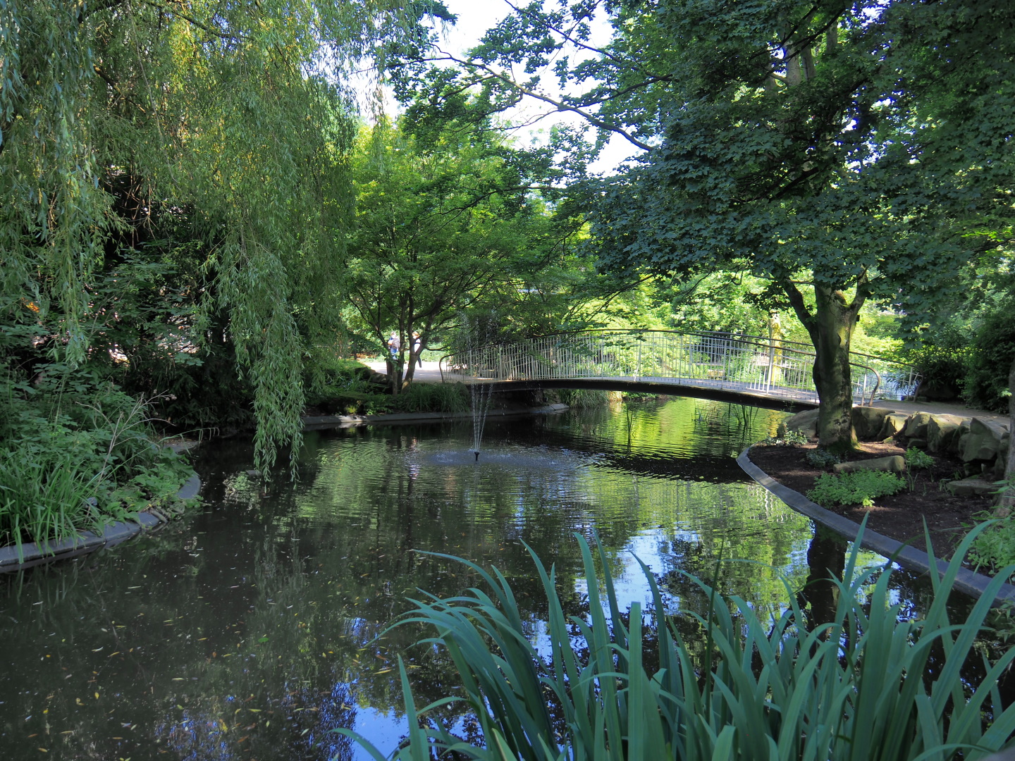 Former cormorant pond with bridge to the elephant viewing area, 2021-07-17