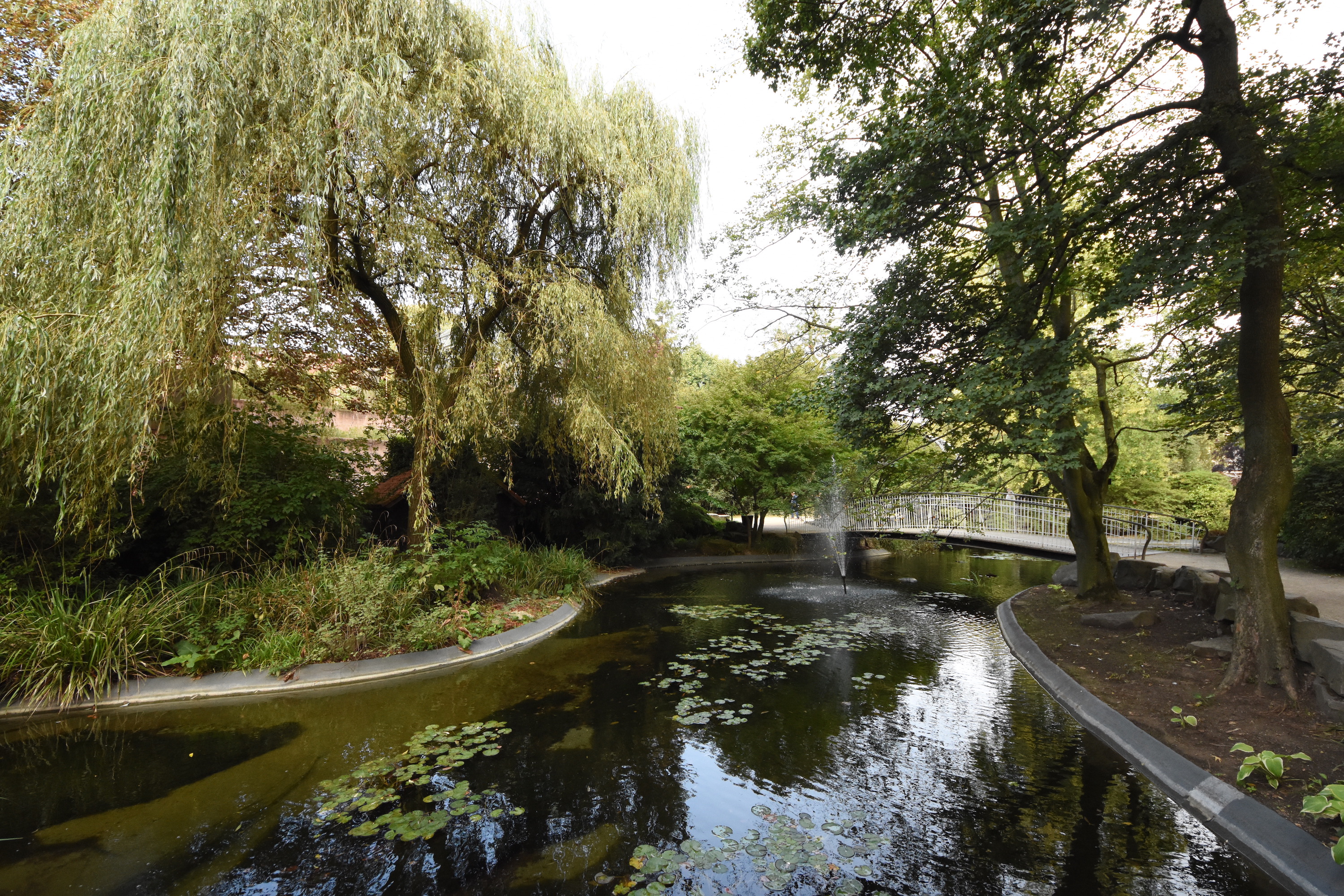 Former cormorant pond