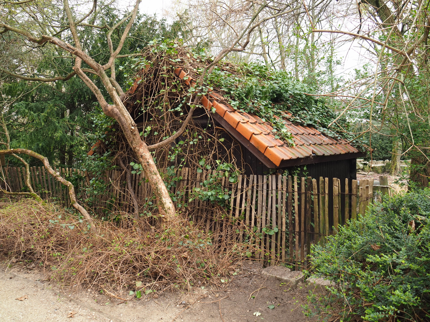 Former cormorant shack, 2022-03-16