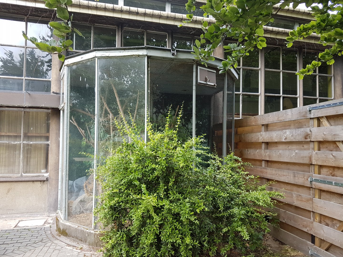 Former Cotton-top tamarin-enclosure