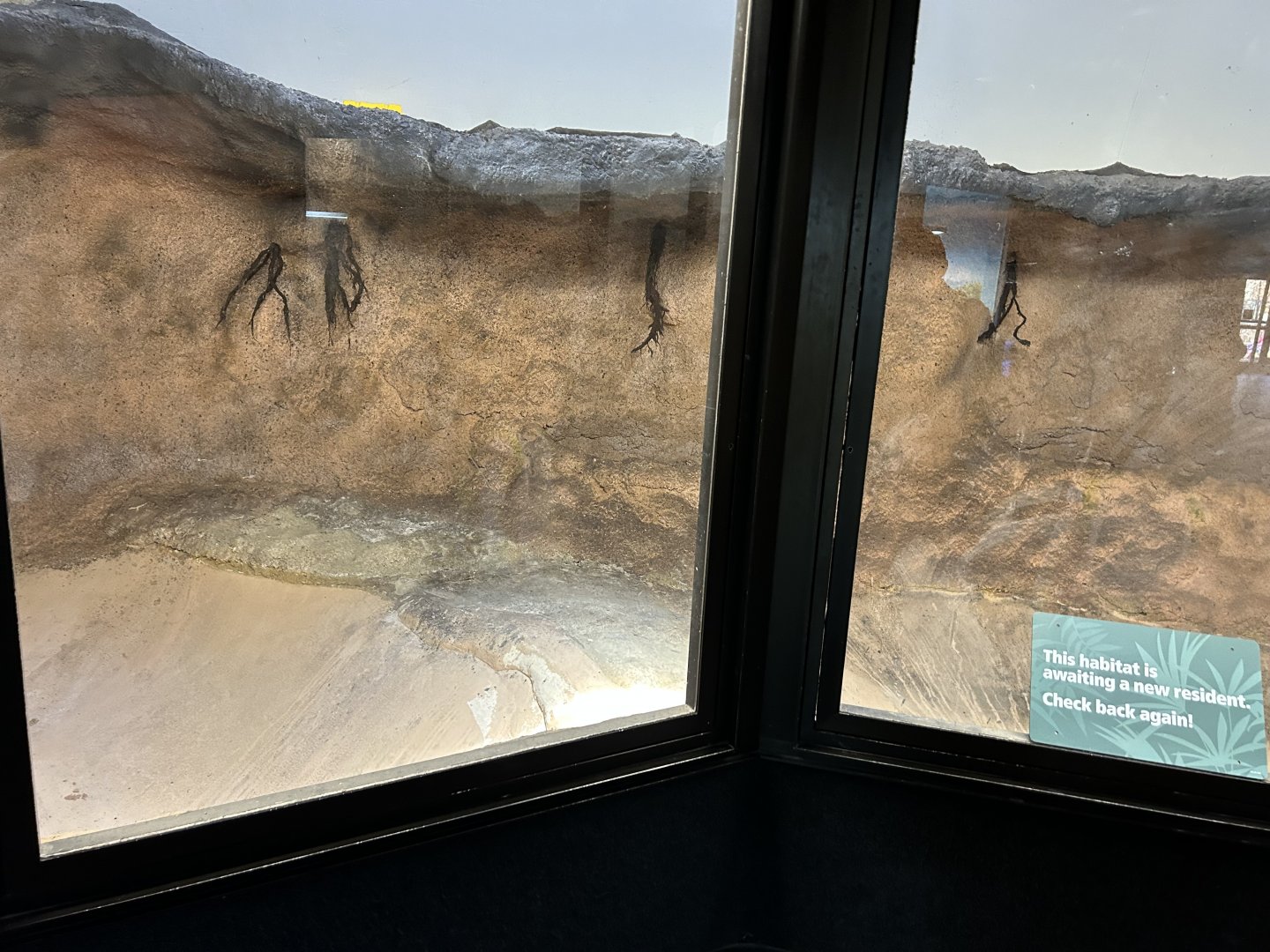 Former Crocodilian Exhibits