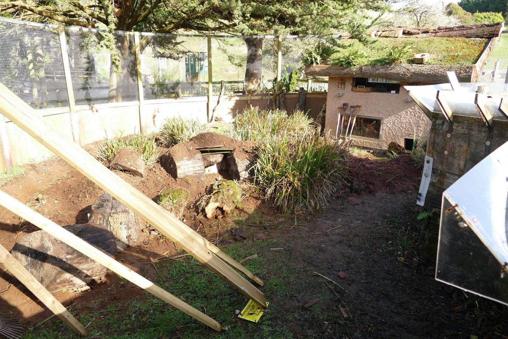 Former Cusimanse enclosure, February 2022