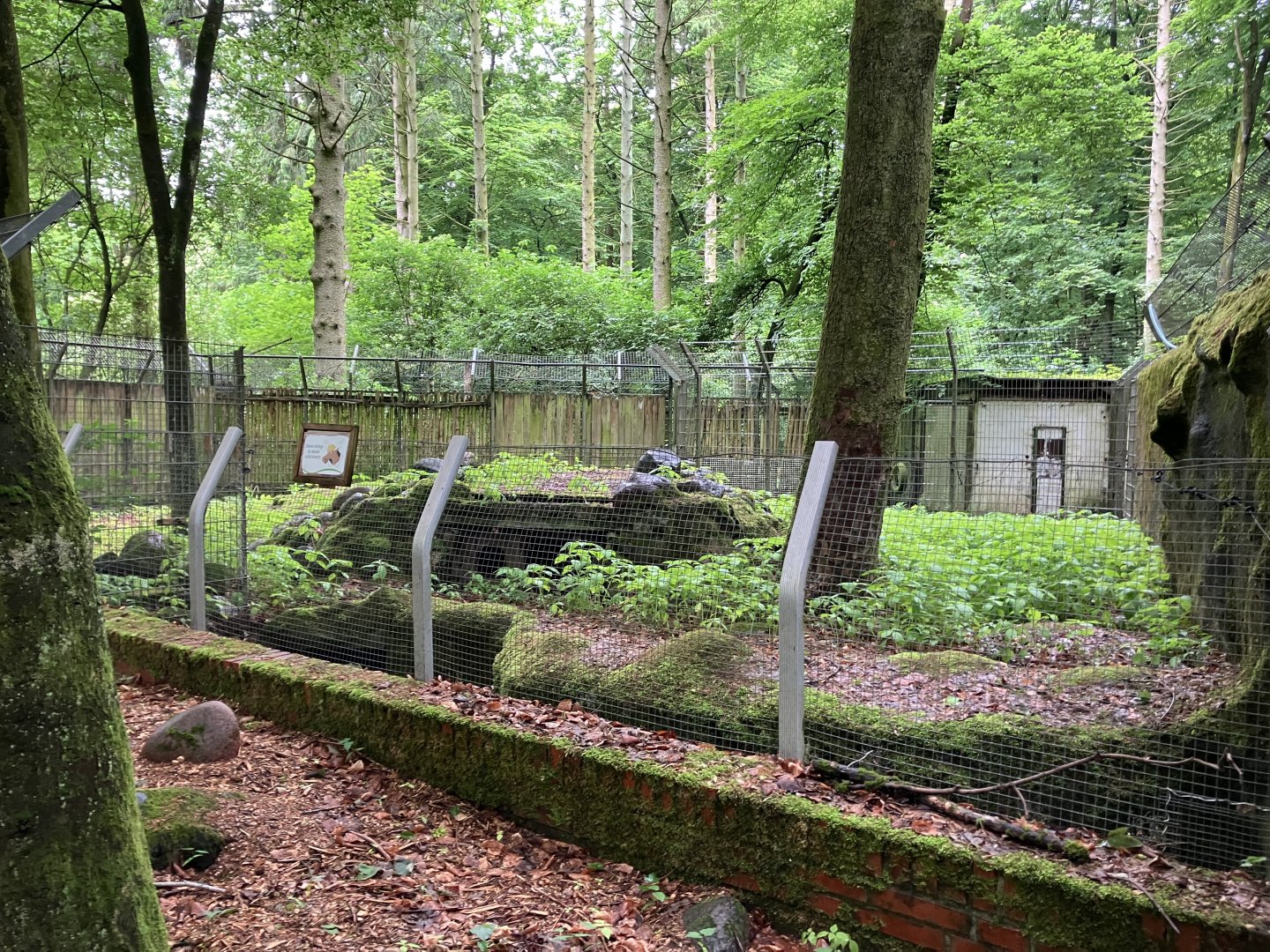 Former Dingo exhibit