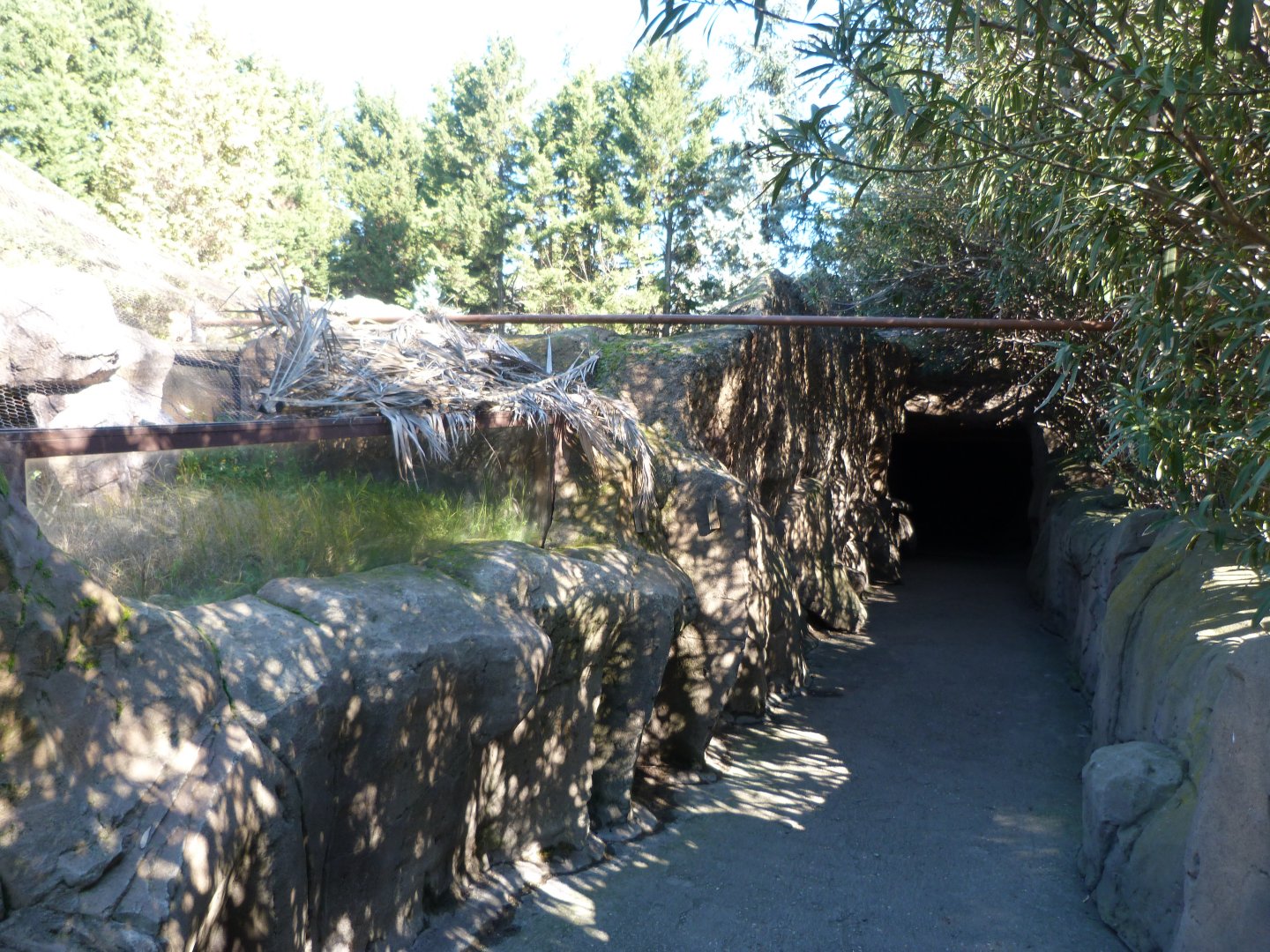 Former dwarf mongoose exhibit -Faunia (2025)