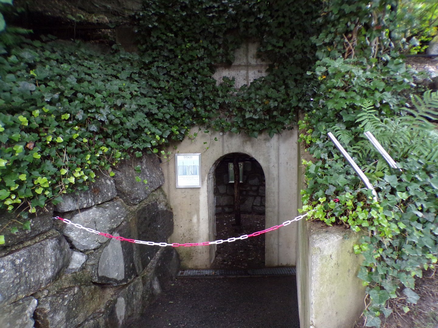 Former education area for old wolf enclosure 9.7.25