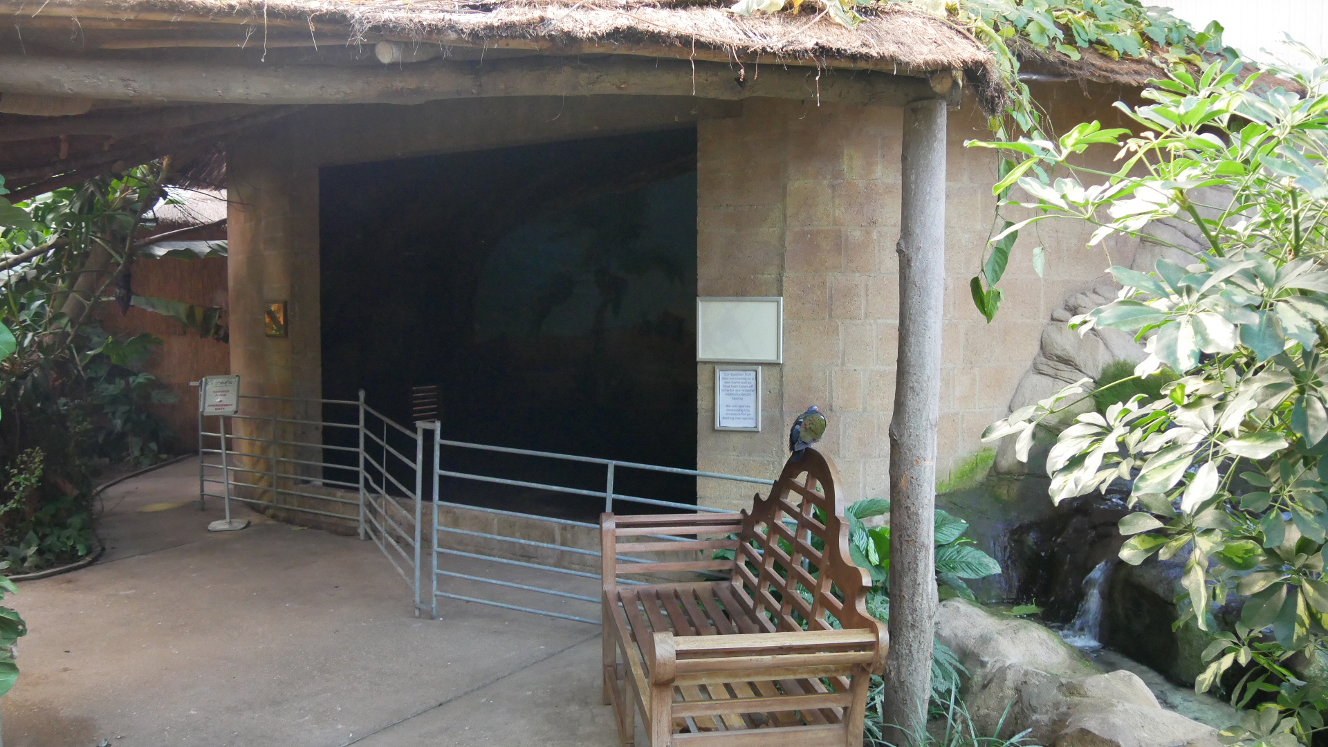 Former Egyptian Fruit Bat Enclousre in Eureka!