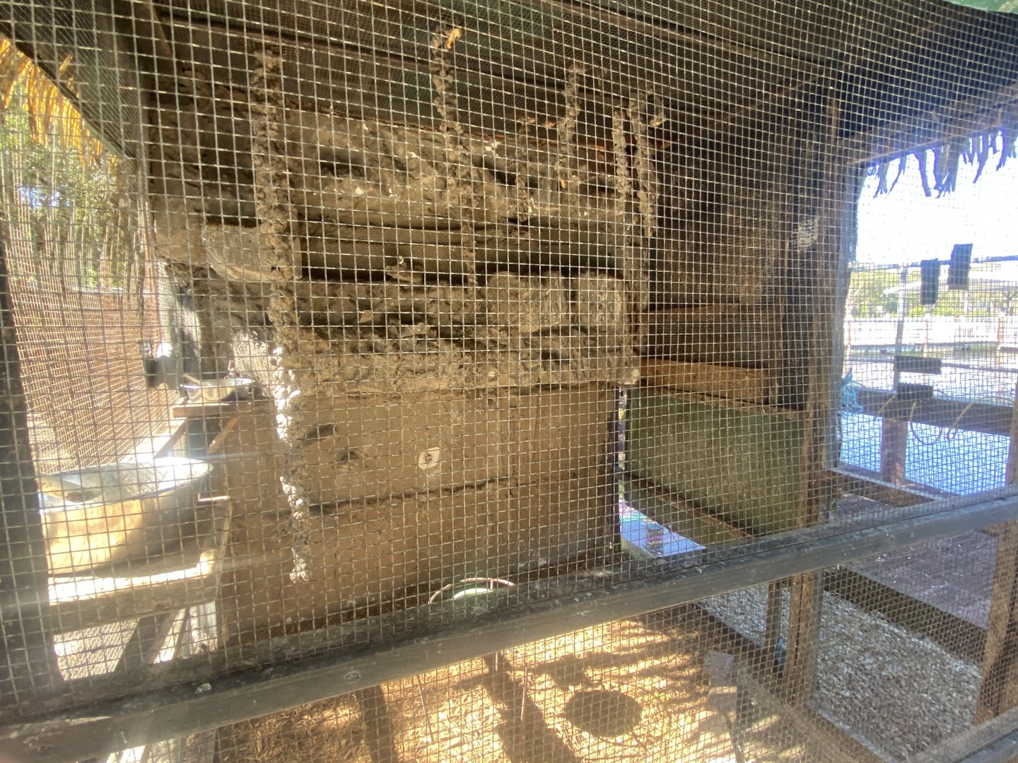 Former Egyptian Fruit Bat Exhibit