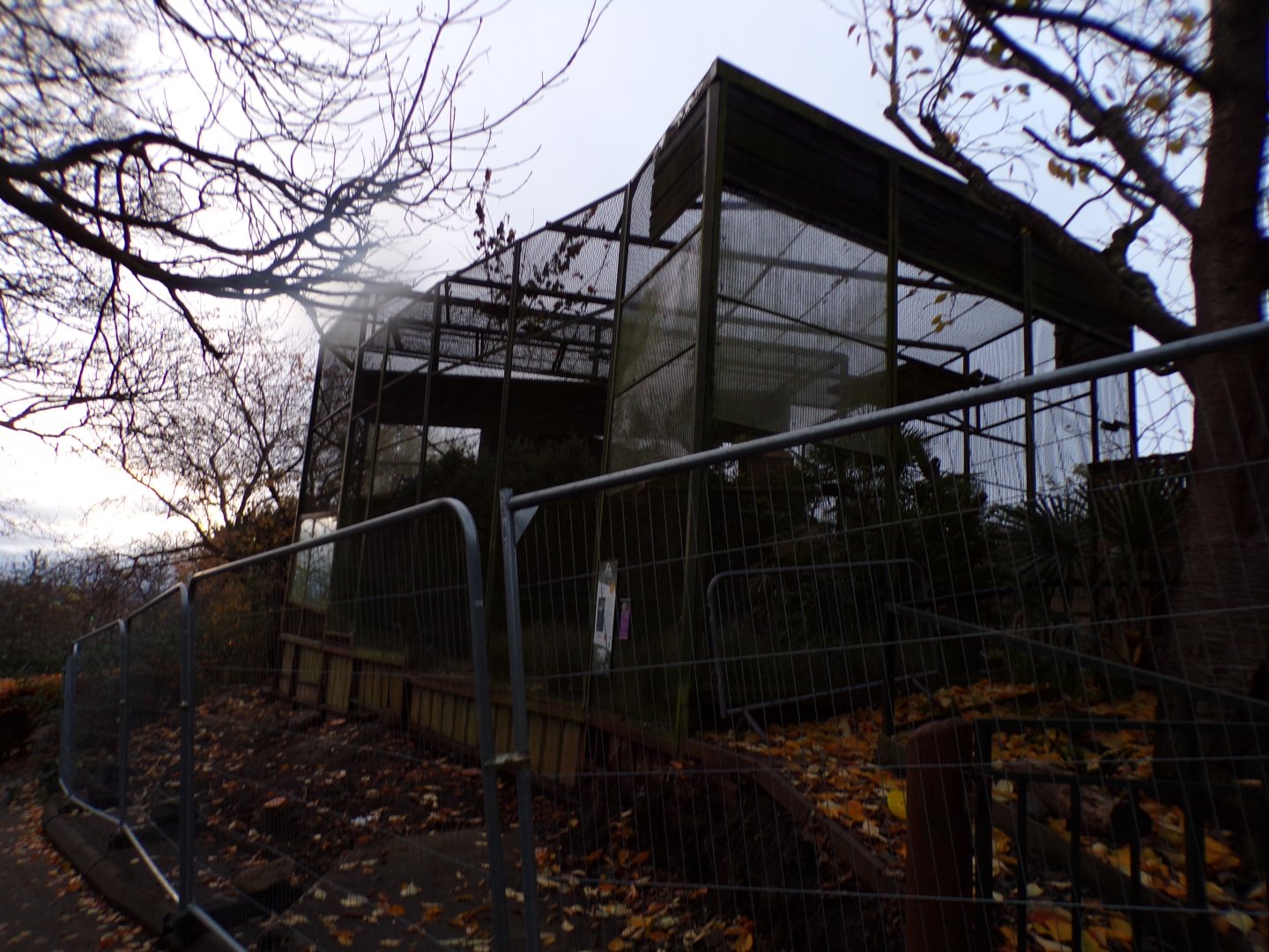 Former Egyptian vulture aviary 19.11.23