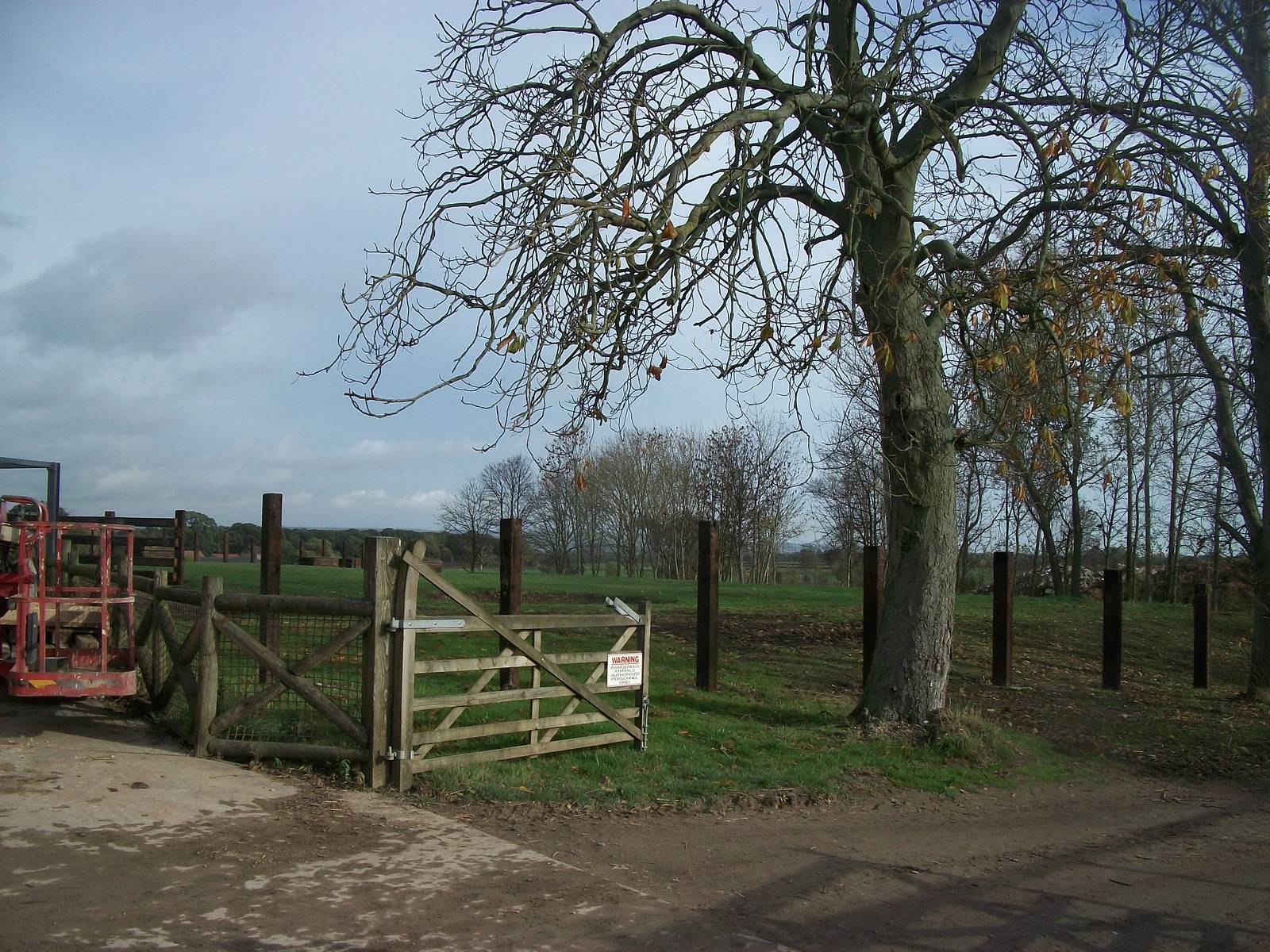 Former Elephant and Collared Peccary paddock areas being converted for Indi