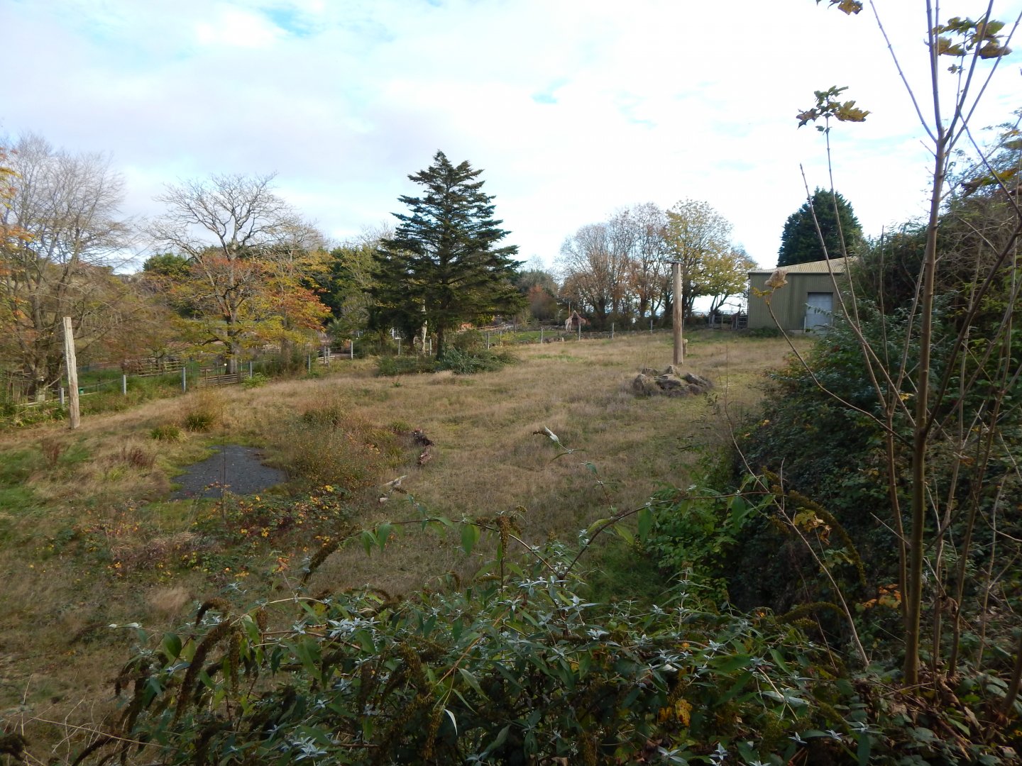 Former elephant enclosure 201121