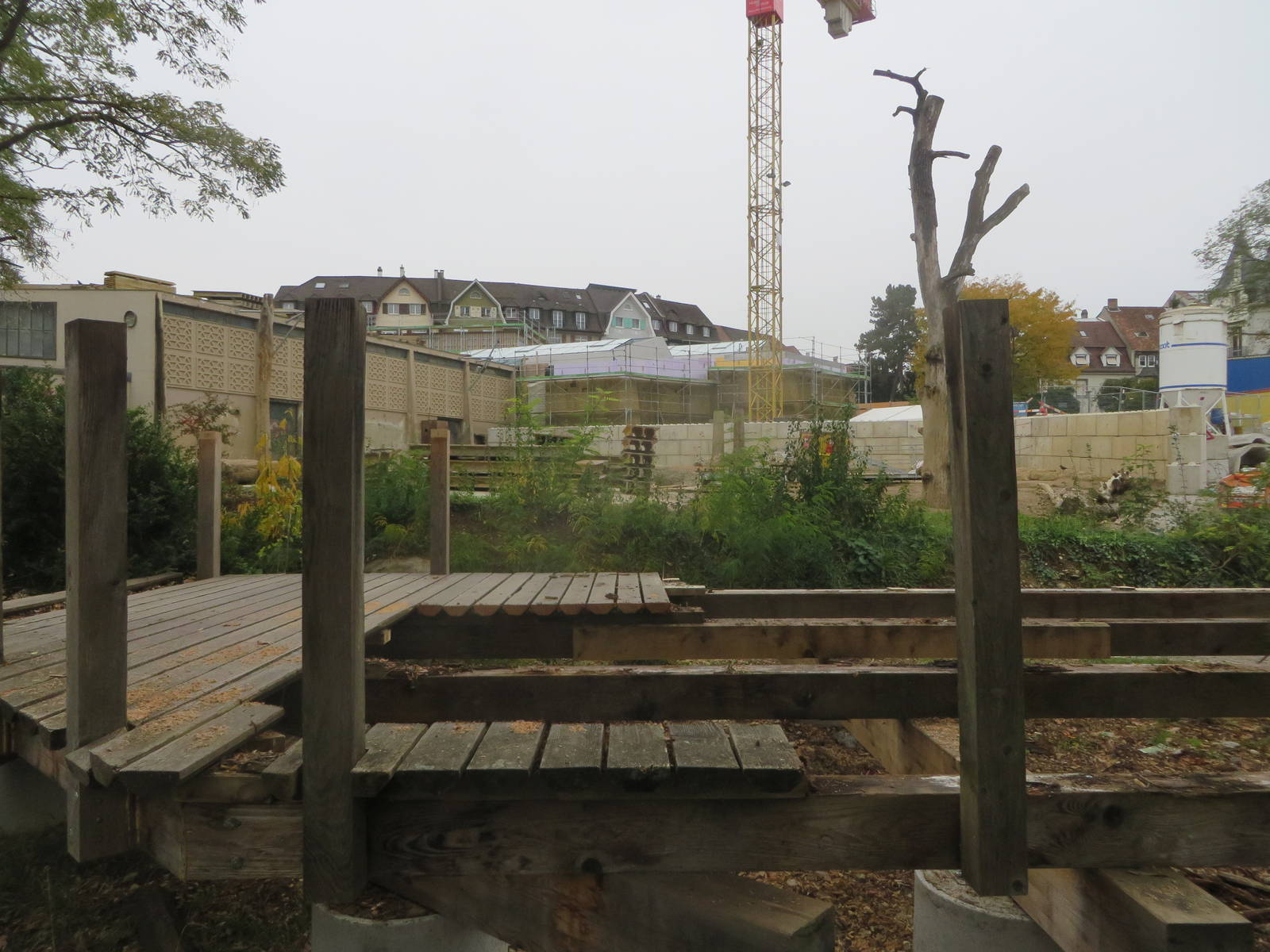 Former elephant enclosure