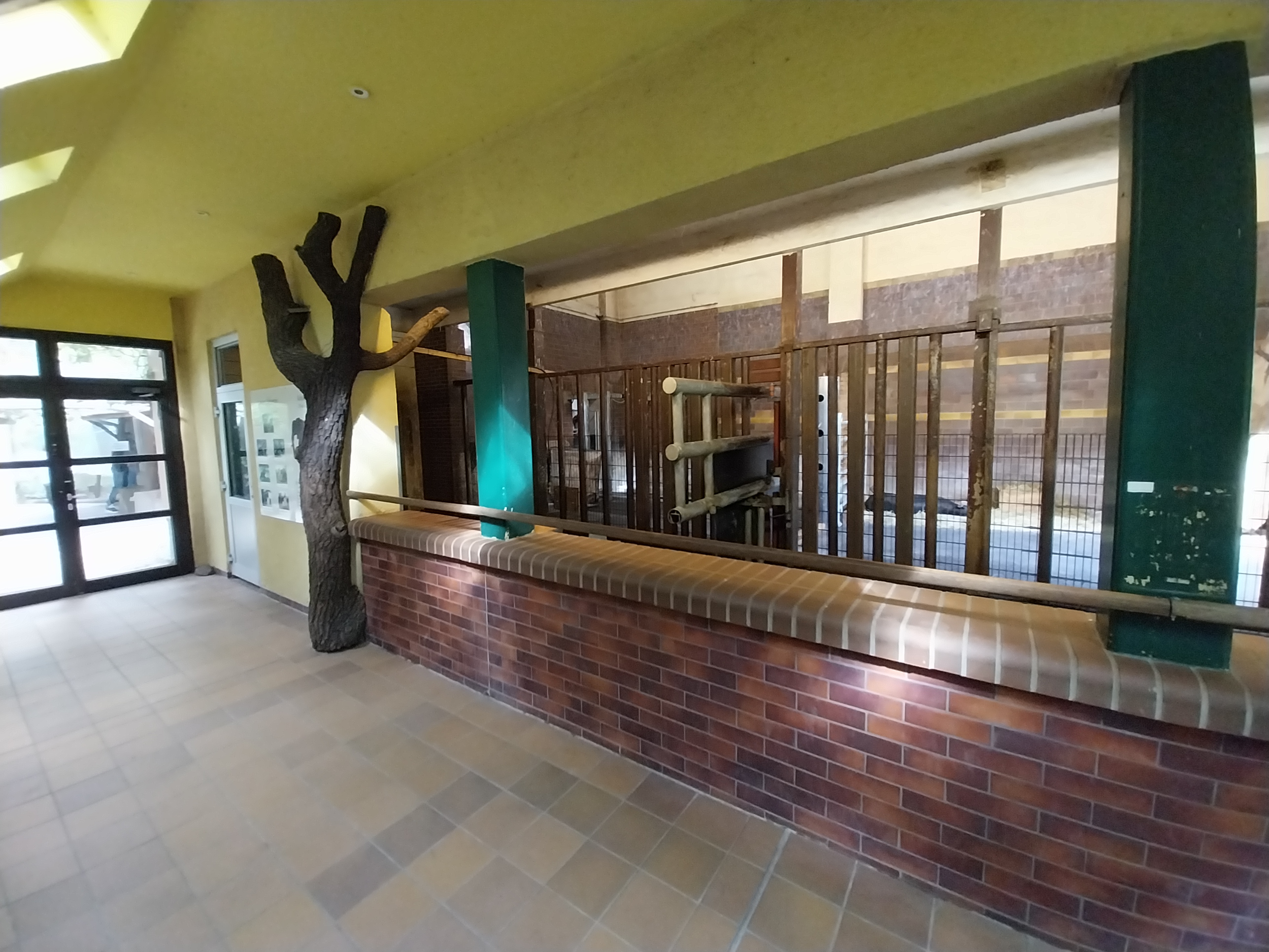 Former Elephant House - Baird's tapir (Tapirus bairdii)