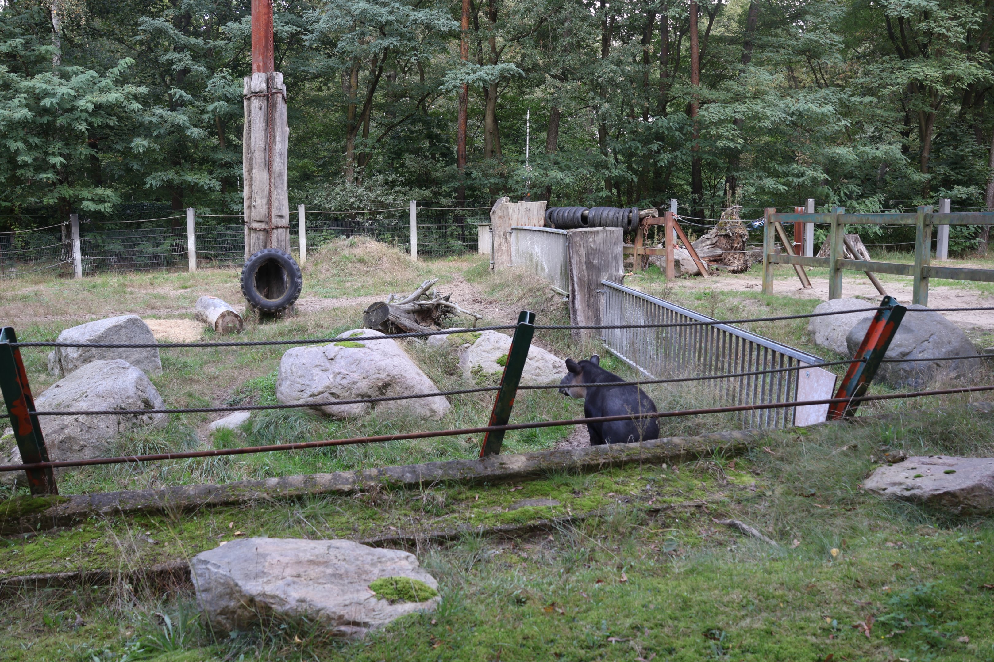 Former Elephant House - Baird's Tapir (Tapirus Bairdii)