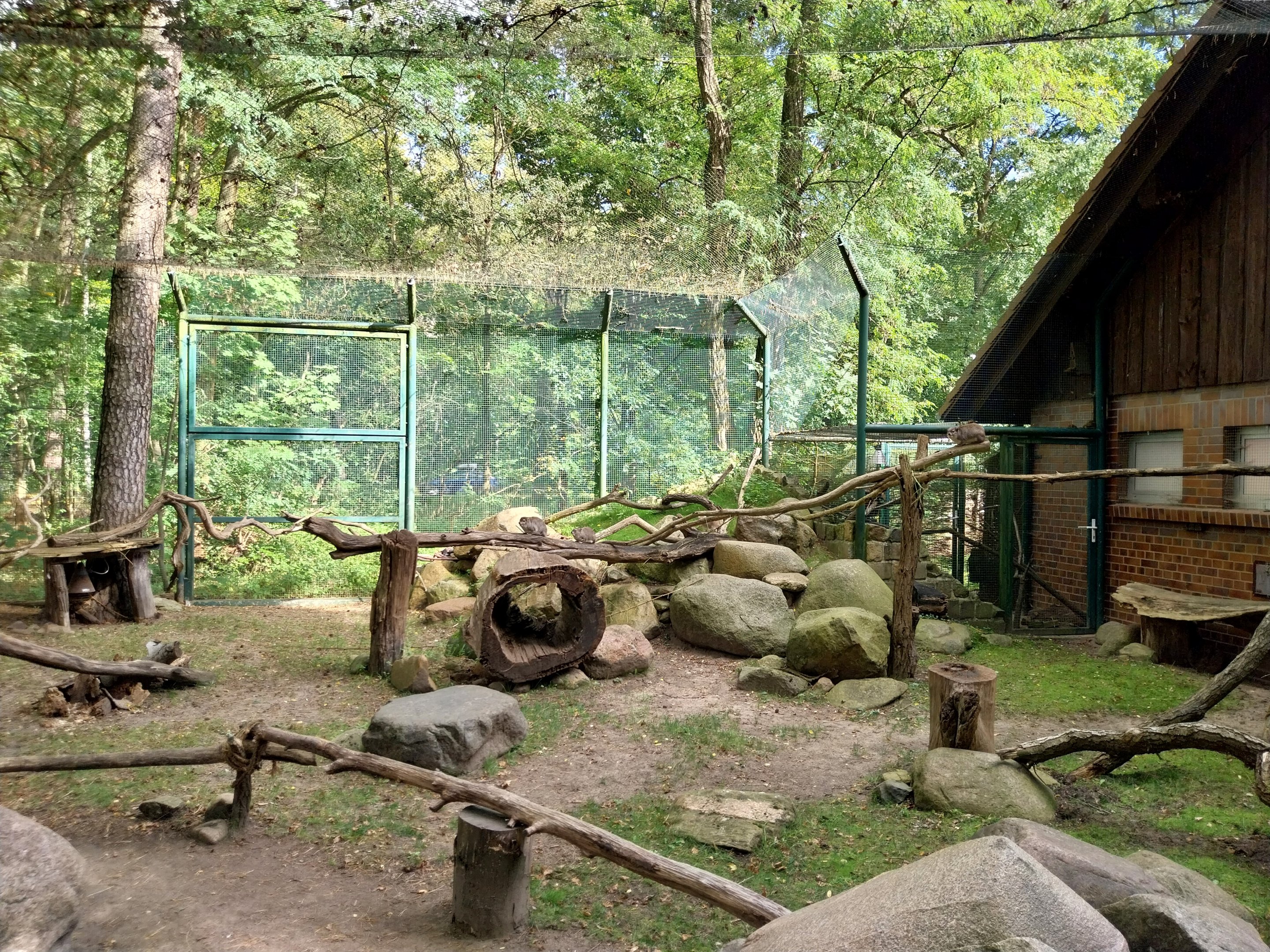 Former Elephant House - Mixed species enclosure