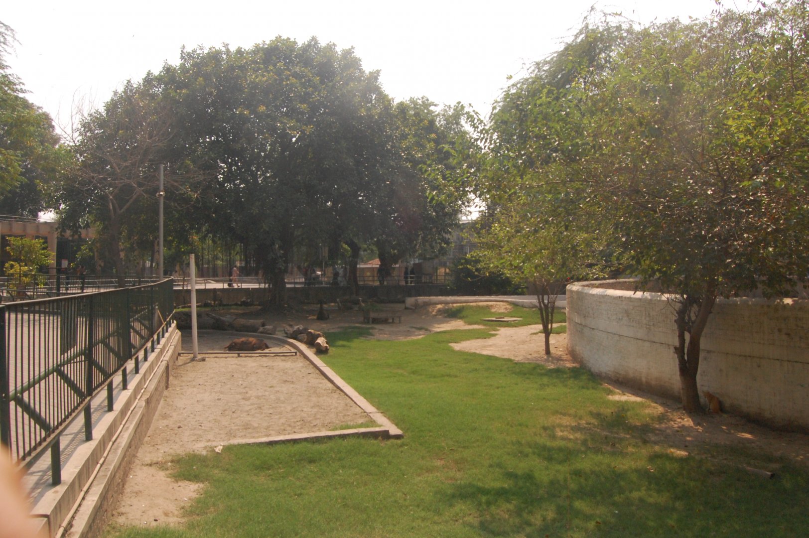 Former elephant paddock - Lahore zoo 8/9/2021