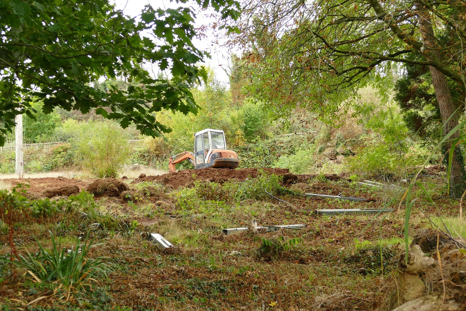 Former elephant paddock, September 2022