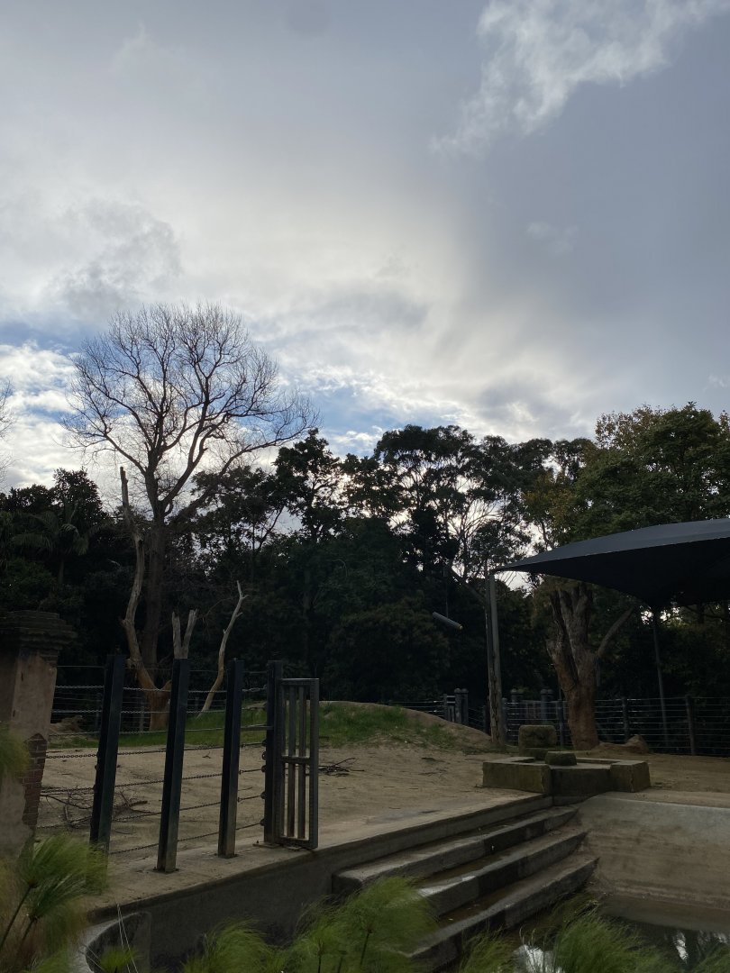 Former Elephant Paddock