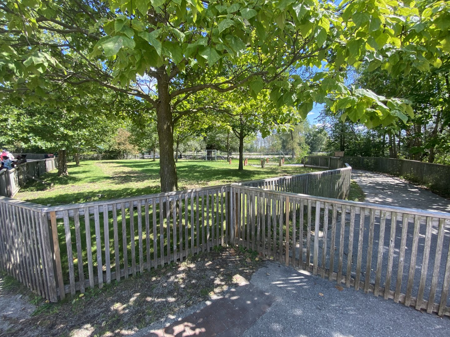 Former Elephant Ride Area