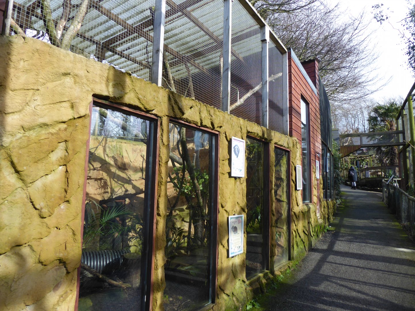 Former enclosure for tamarins 040319