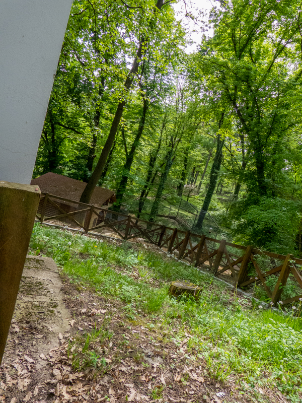 former enclosure of porcupines