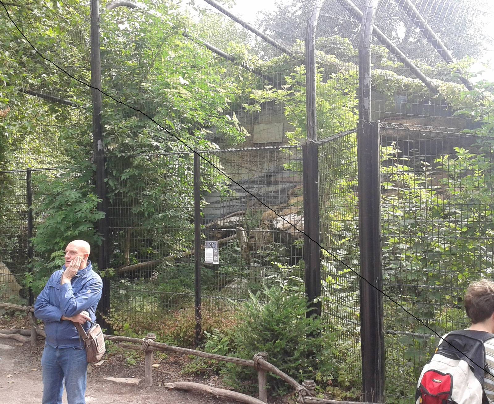 Former enclosure of Snow leopards