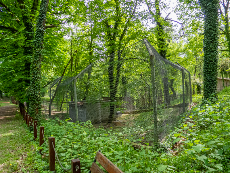 former enclosure of wolves